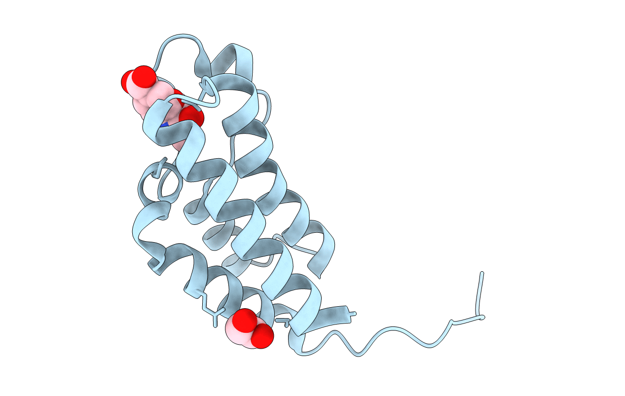 5PBD image