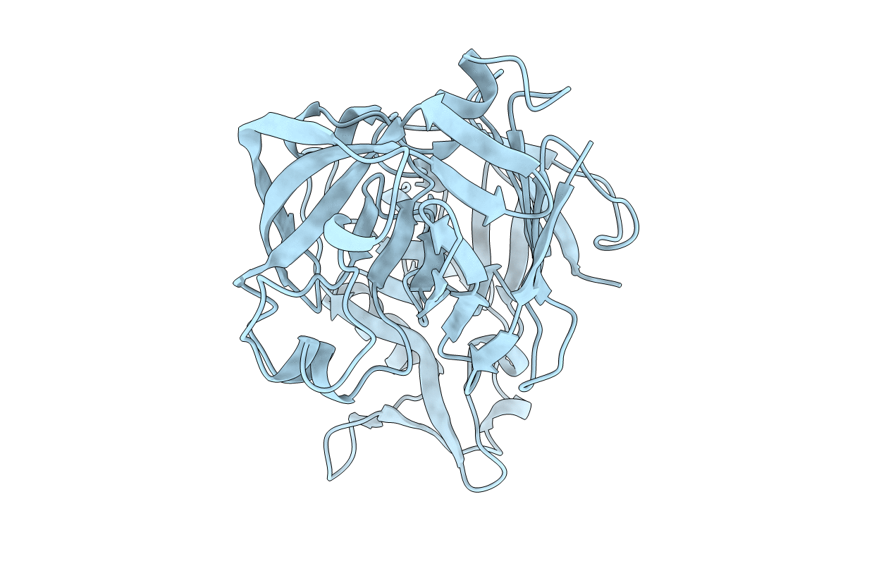 5pep image
