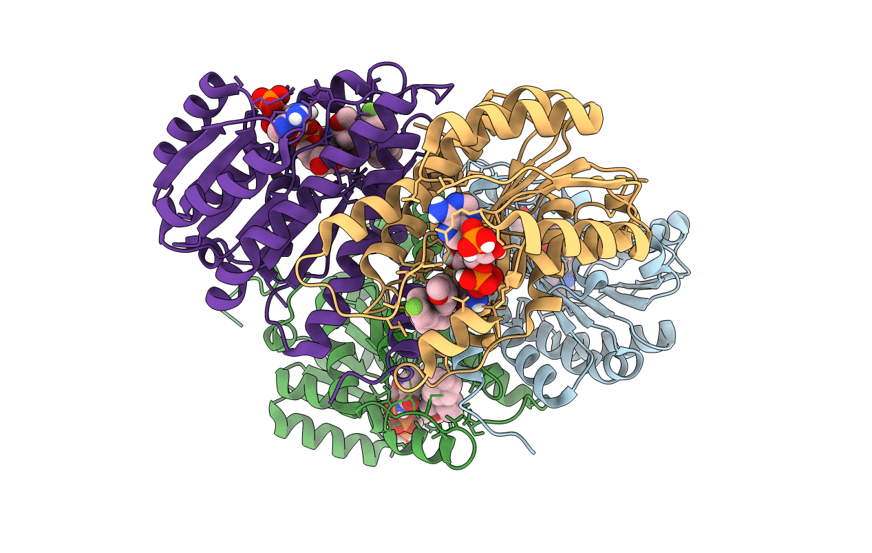 5PGU image