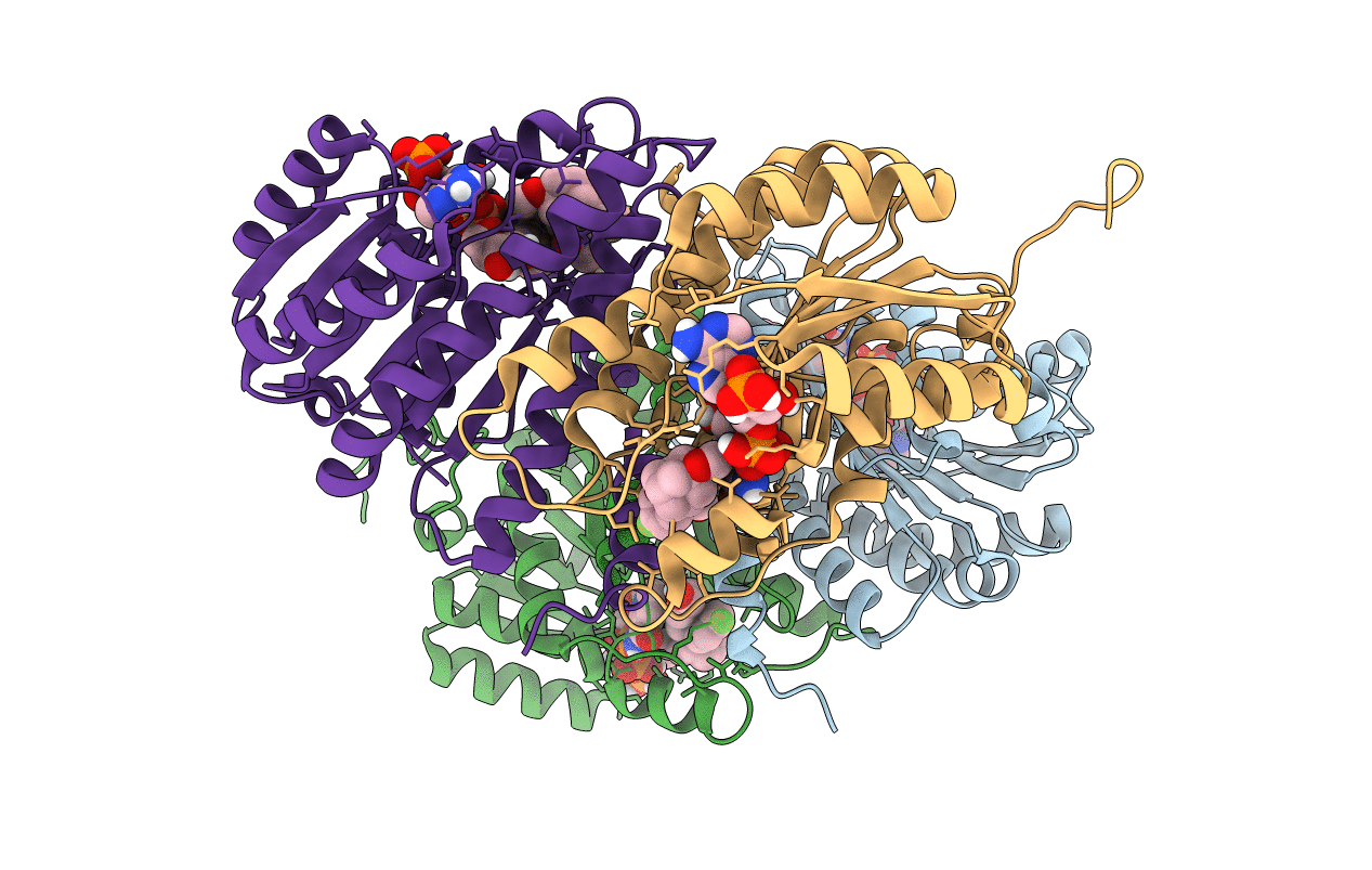5PGV image