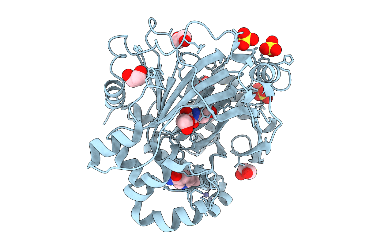 5PH2 image