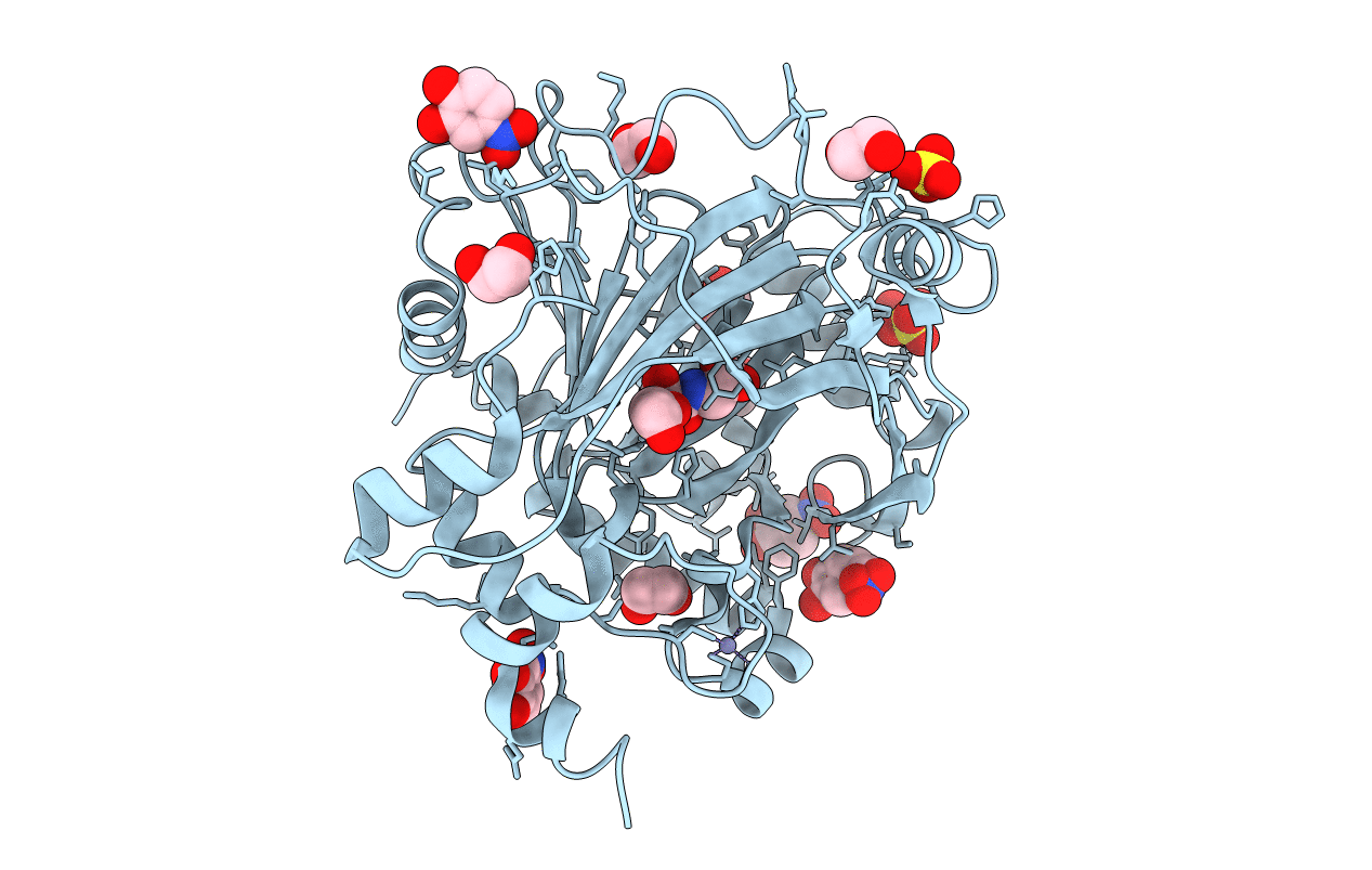 5PHD image