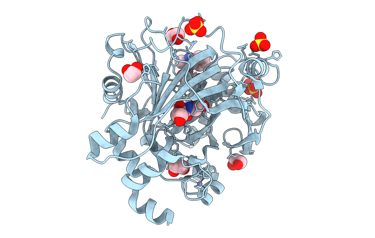 5PHI image