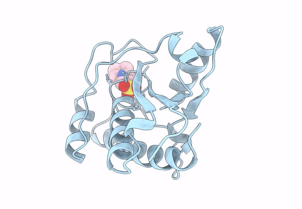 5PNT image
