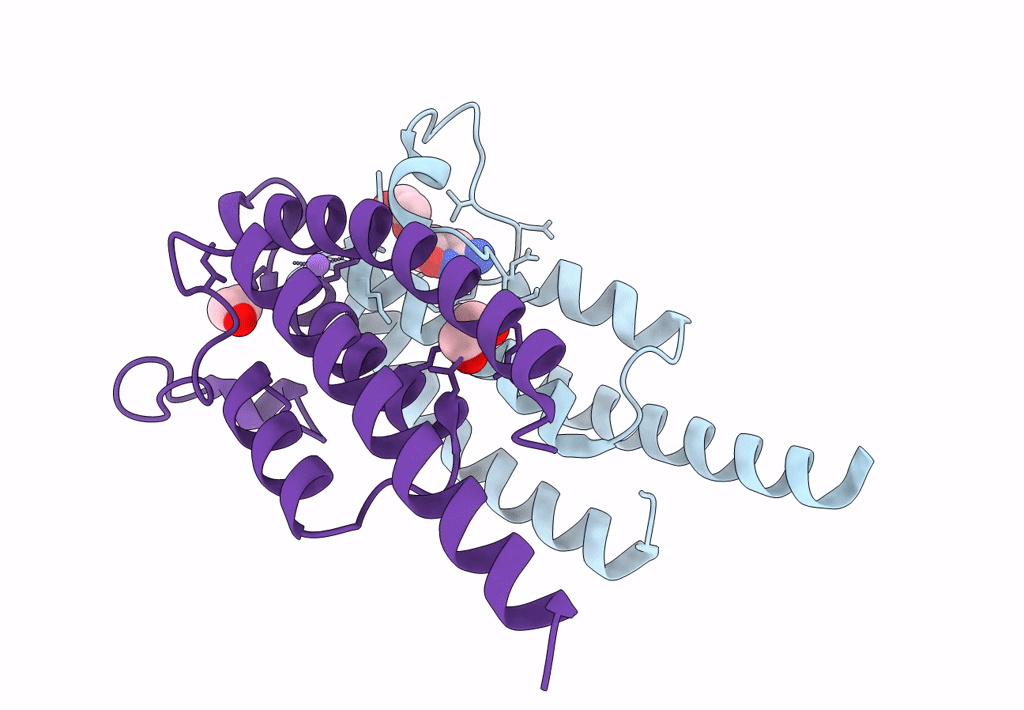 5PNX image