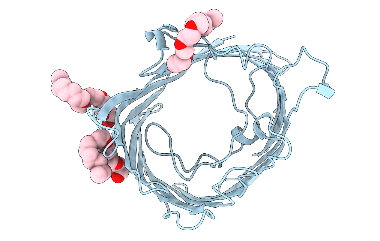 5PRN image