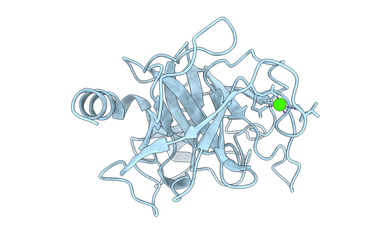 5PTP image