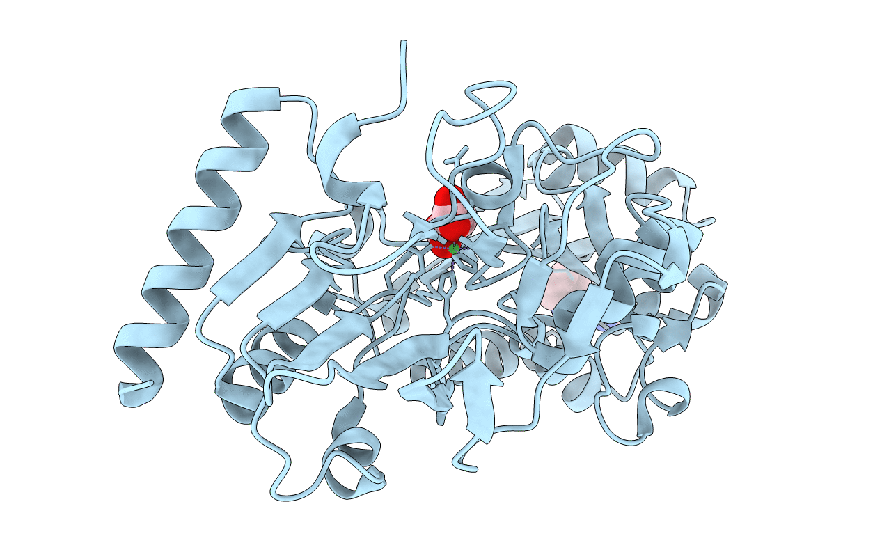 5Q1N image