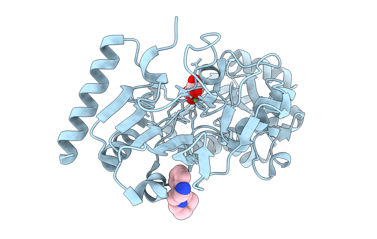 5Q1R image