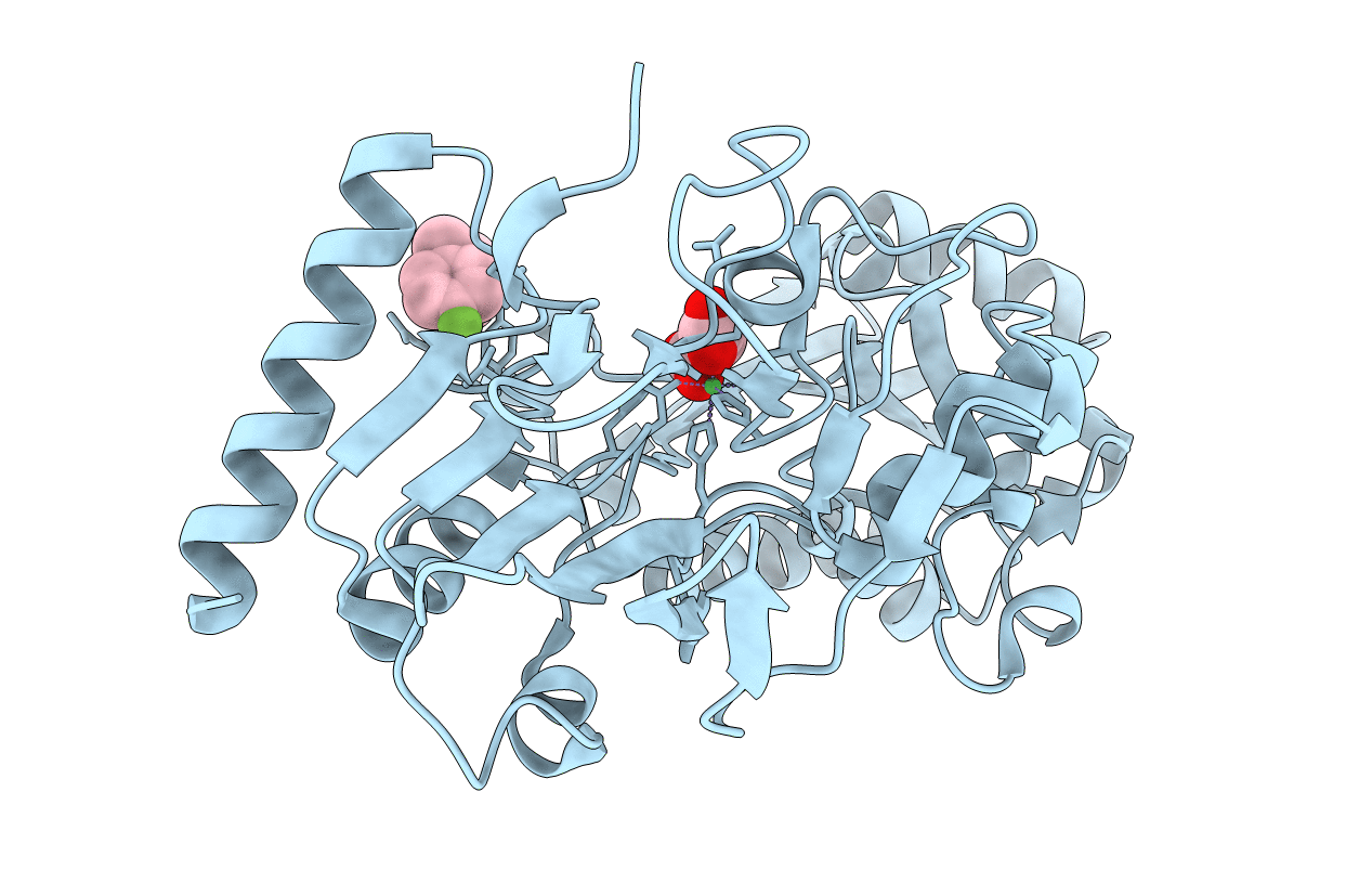 5Q1V image