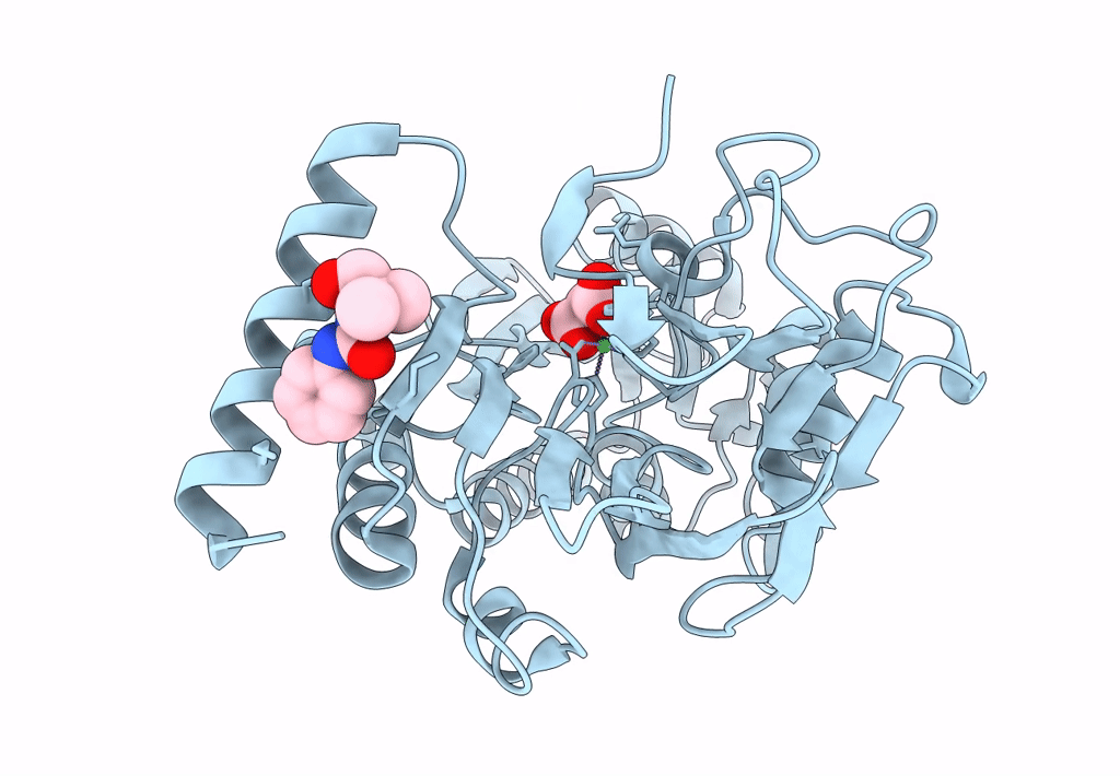 5Q20 image