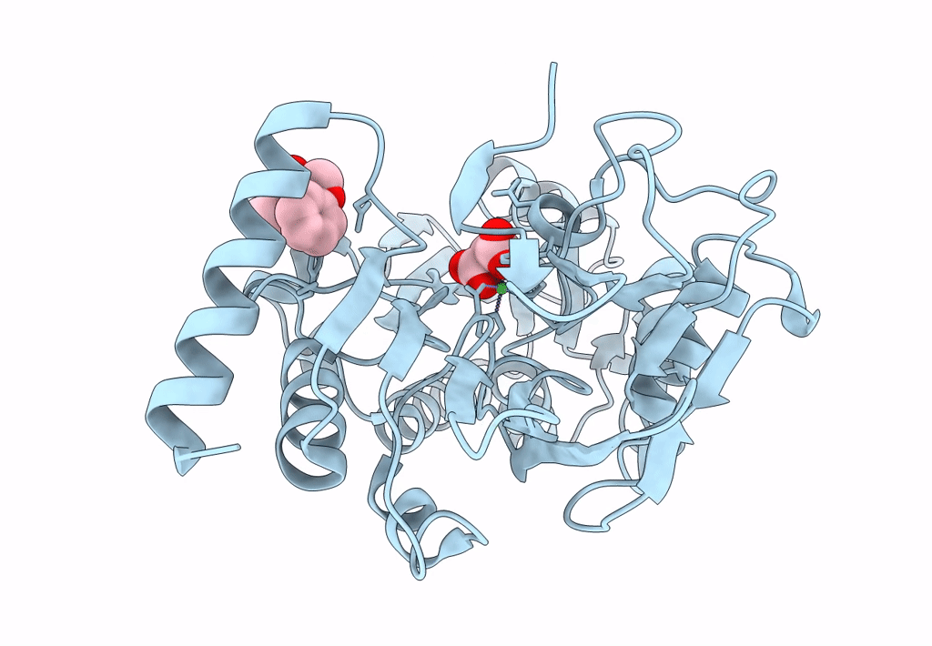 5Q22 image