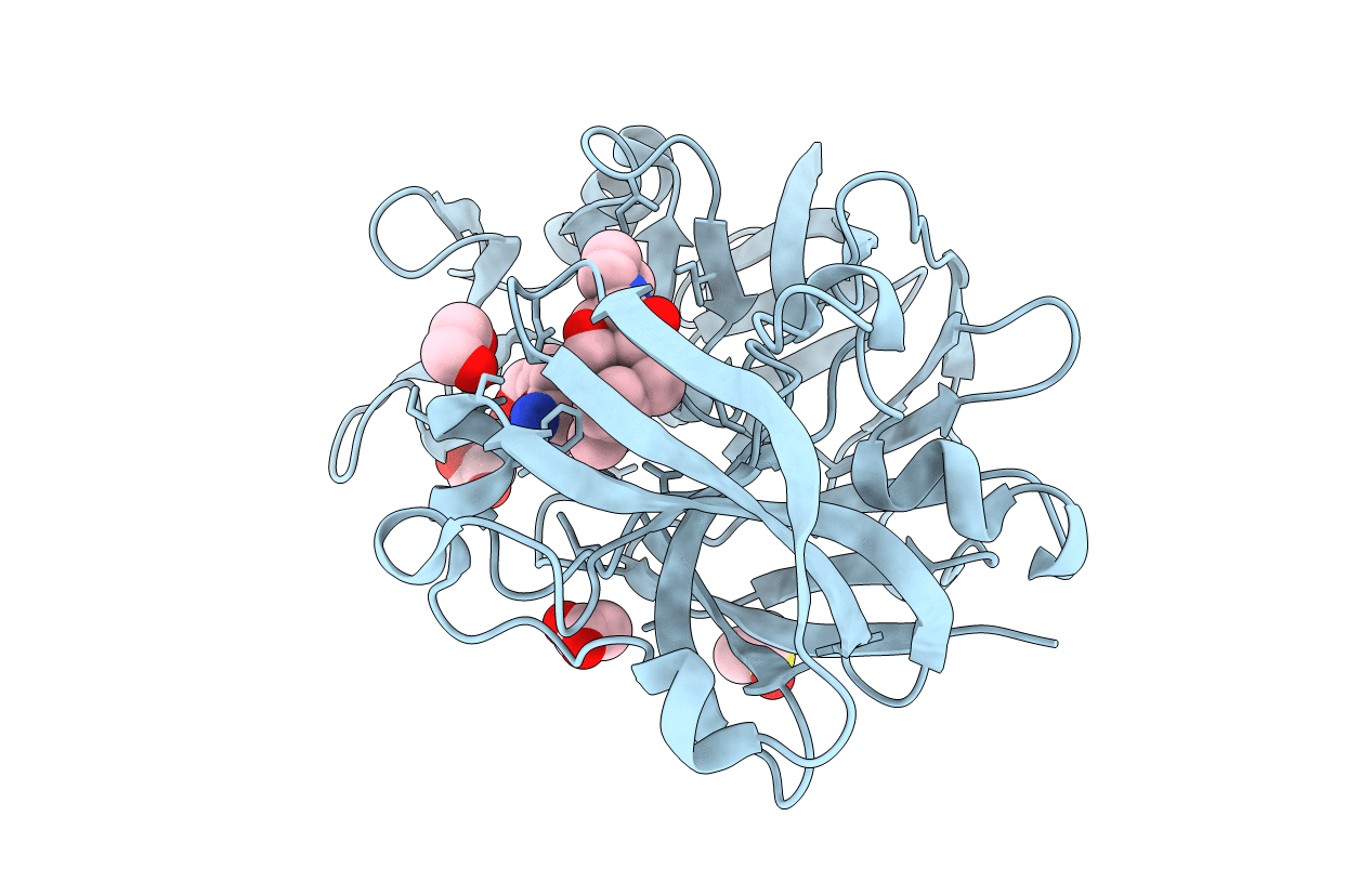 5QBL image