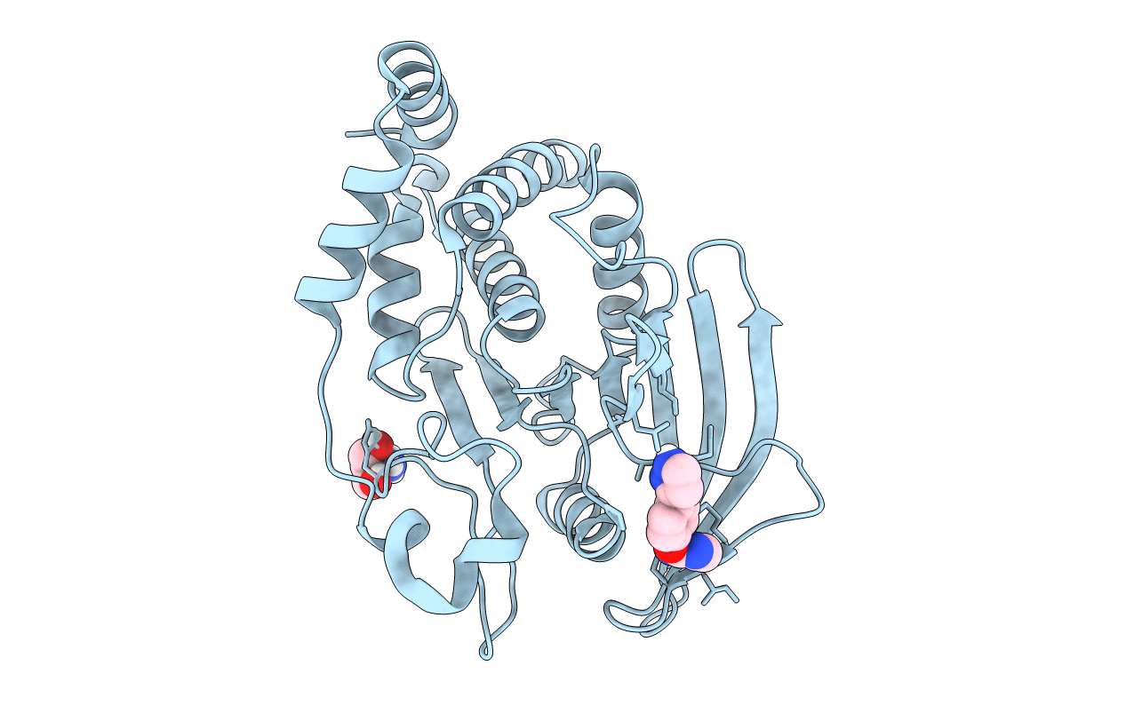 5QDM image