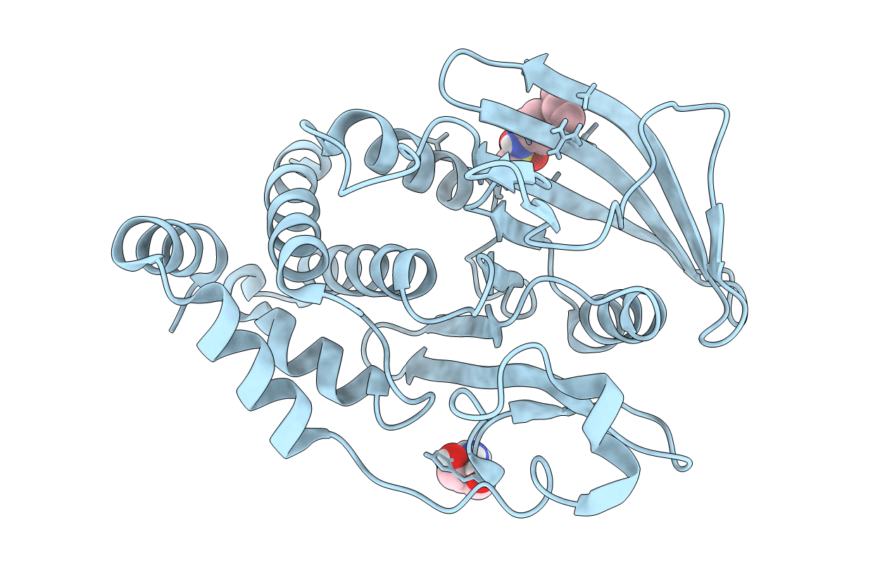 5QDN image