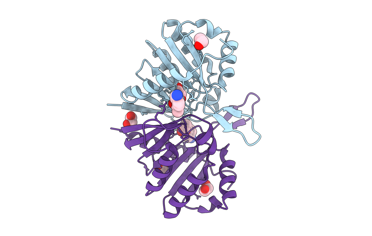 5QHL image