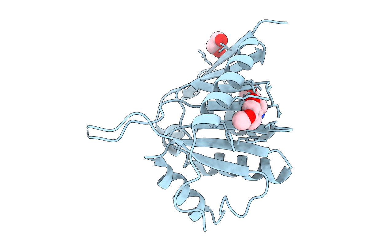 5QHP image