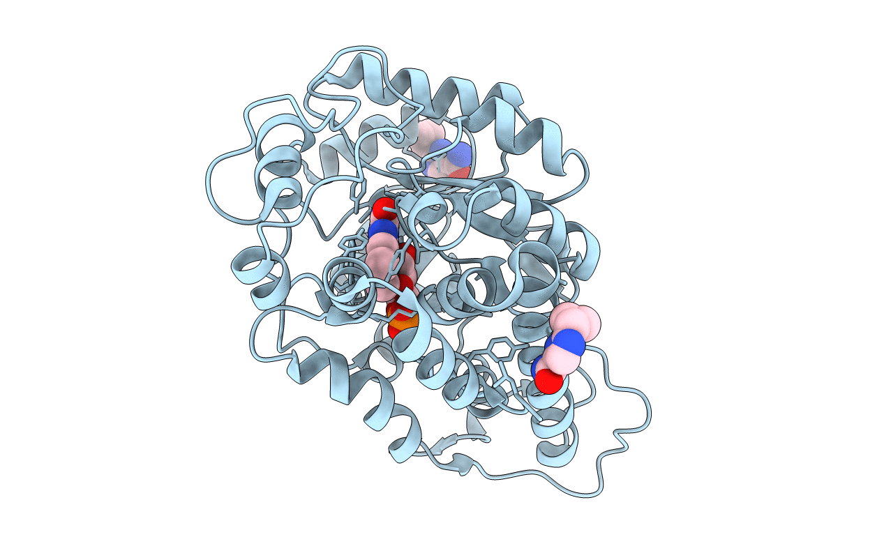 5qig image