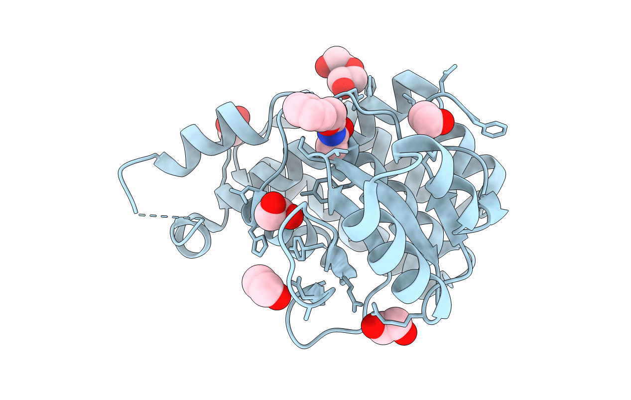 5QIP image