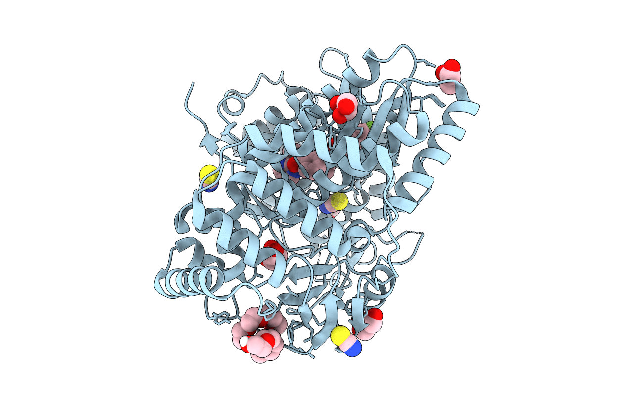 5QJ0 image