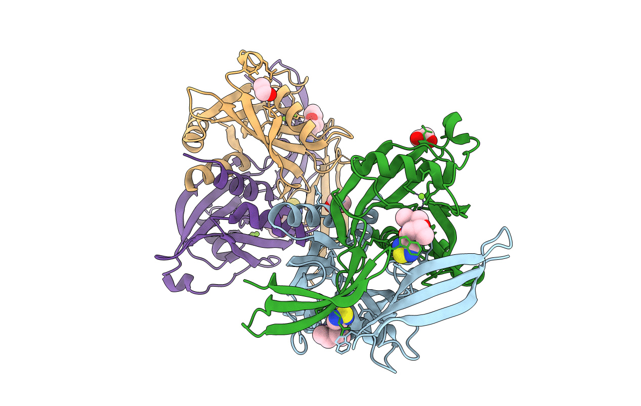 5QJ9 image