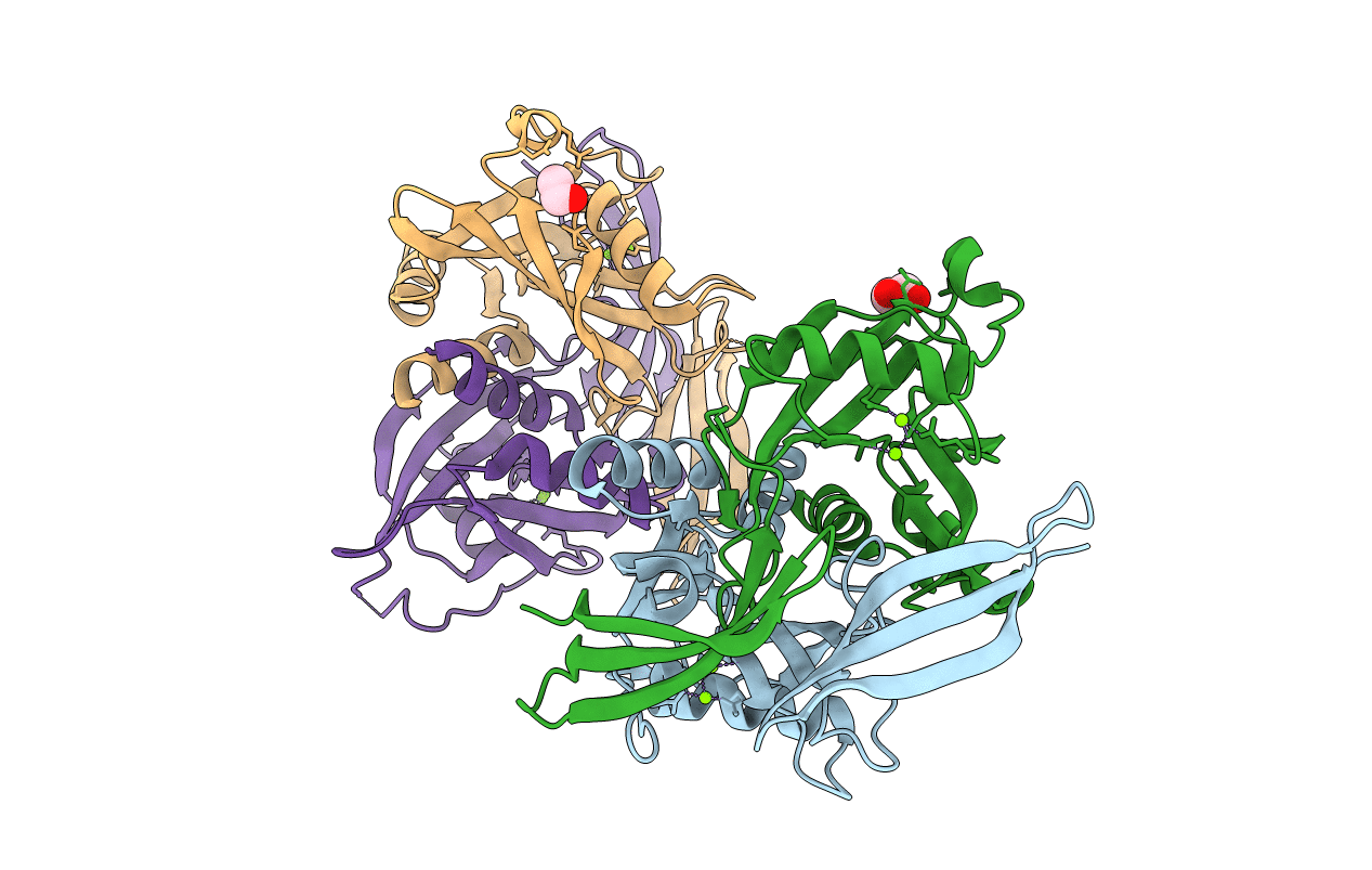5QKB image
