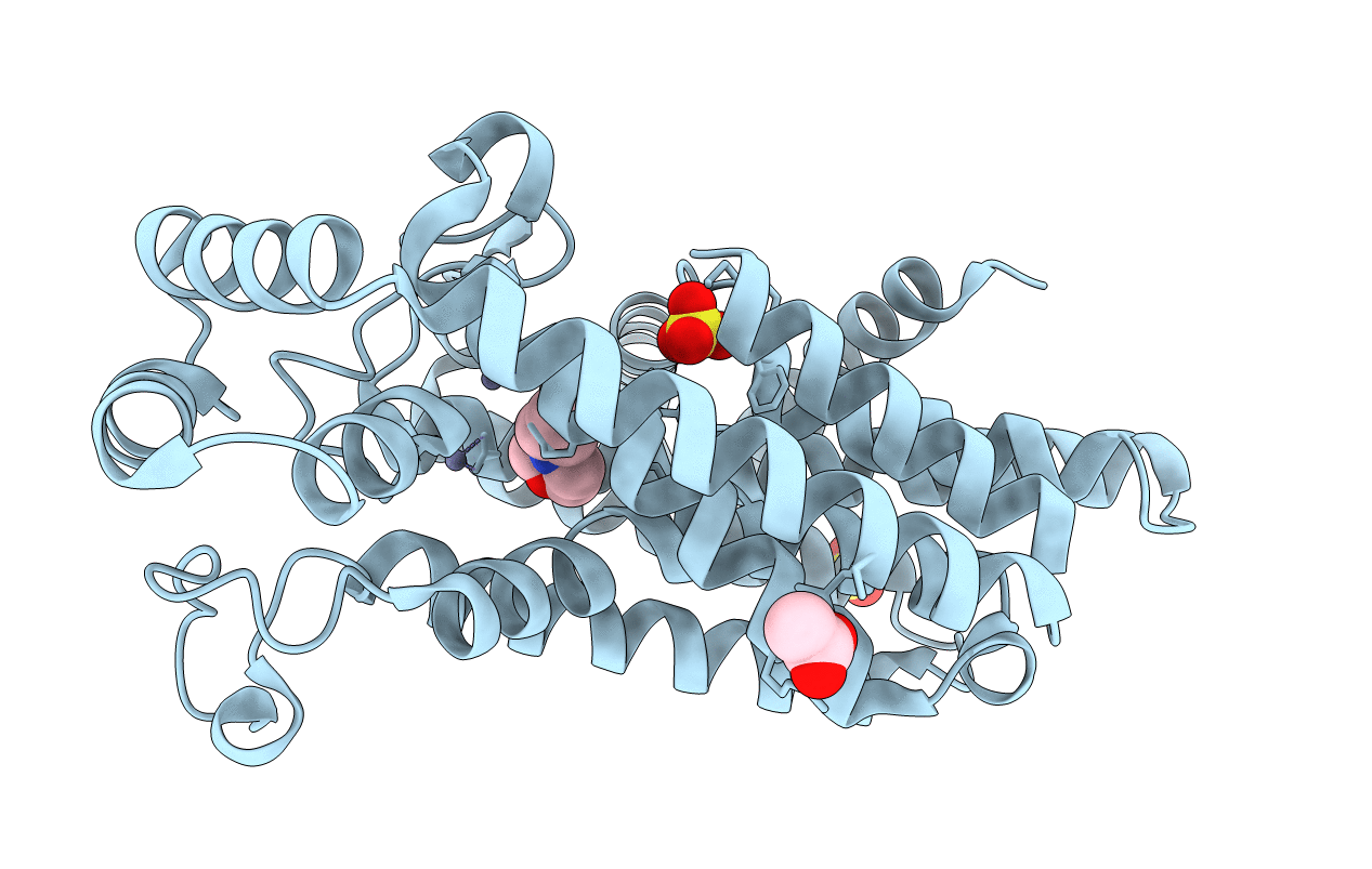 5QPH image