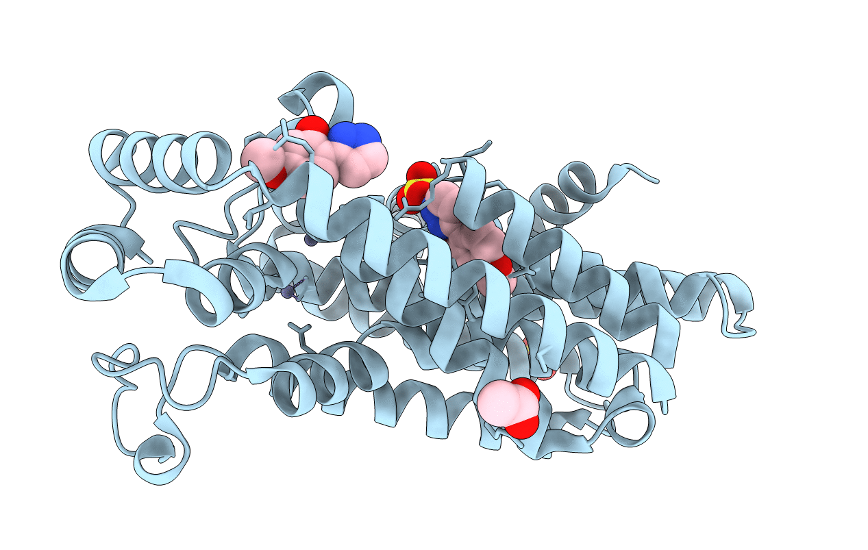 5QPI image