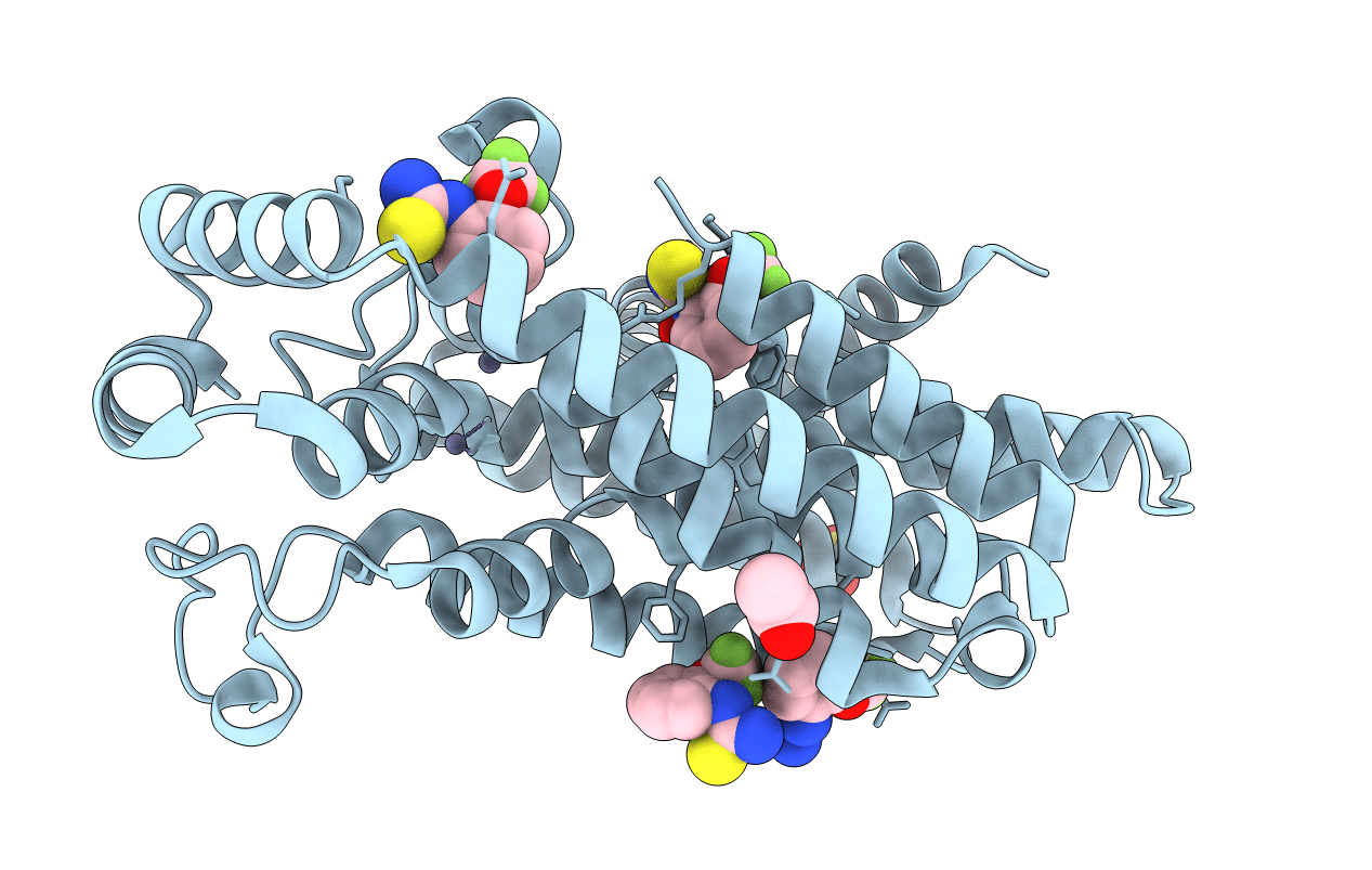 5QPP image