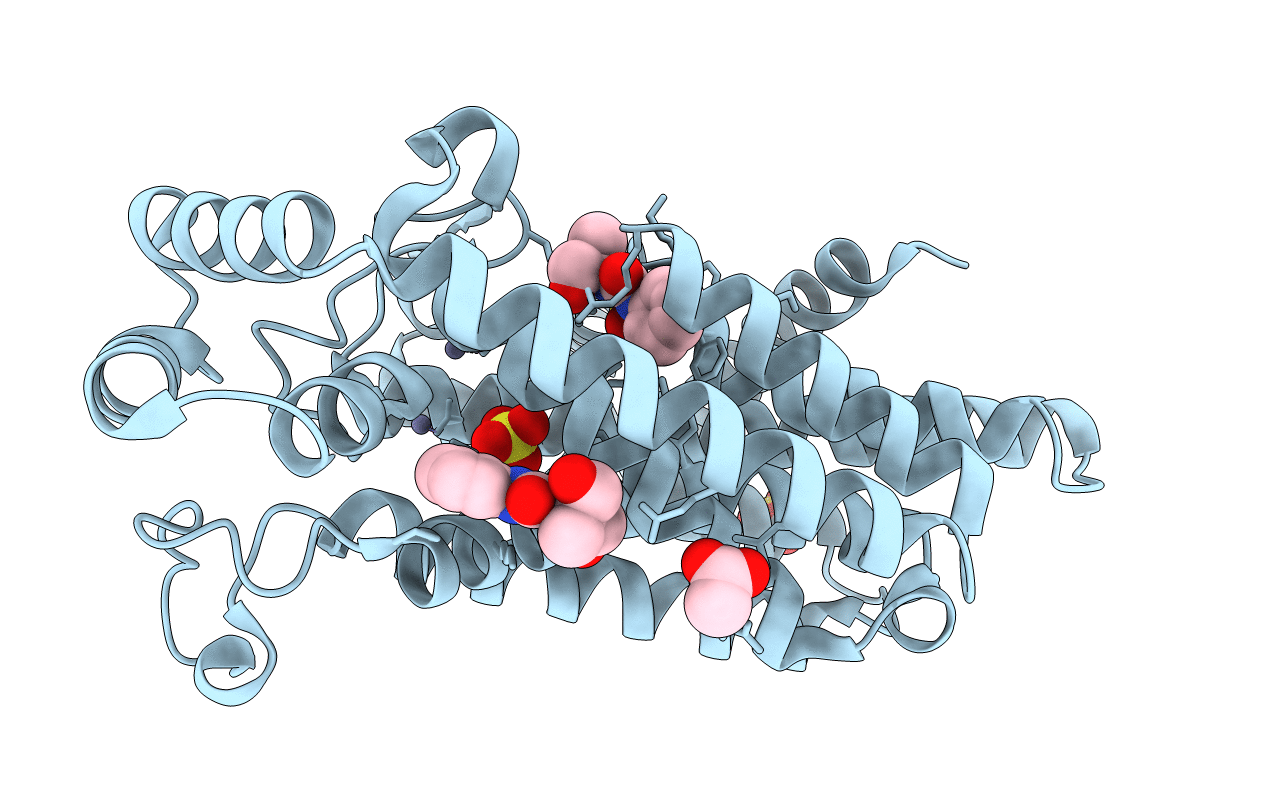 5QPZ image
