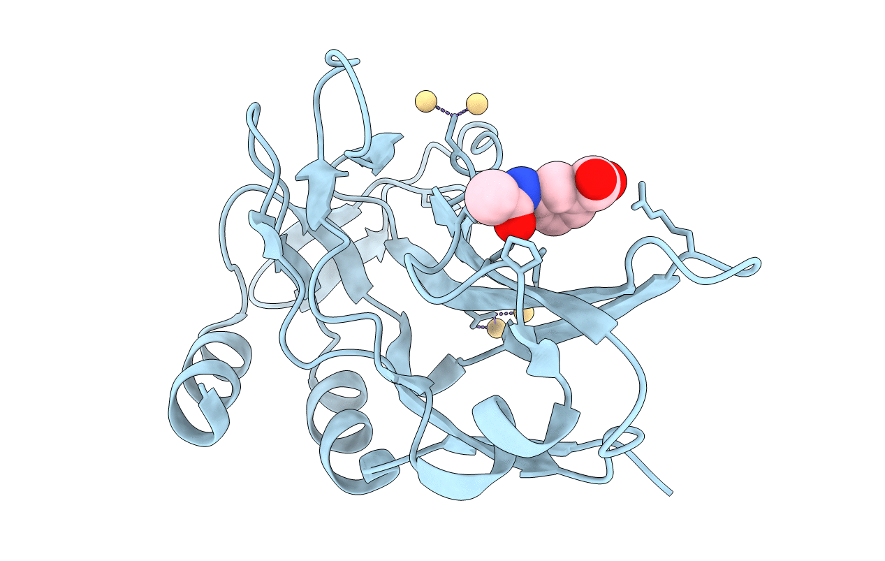 5QRX image