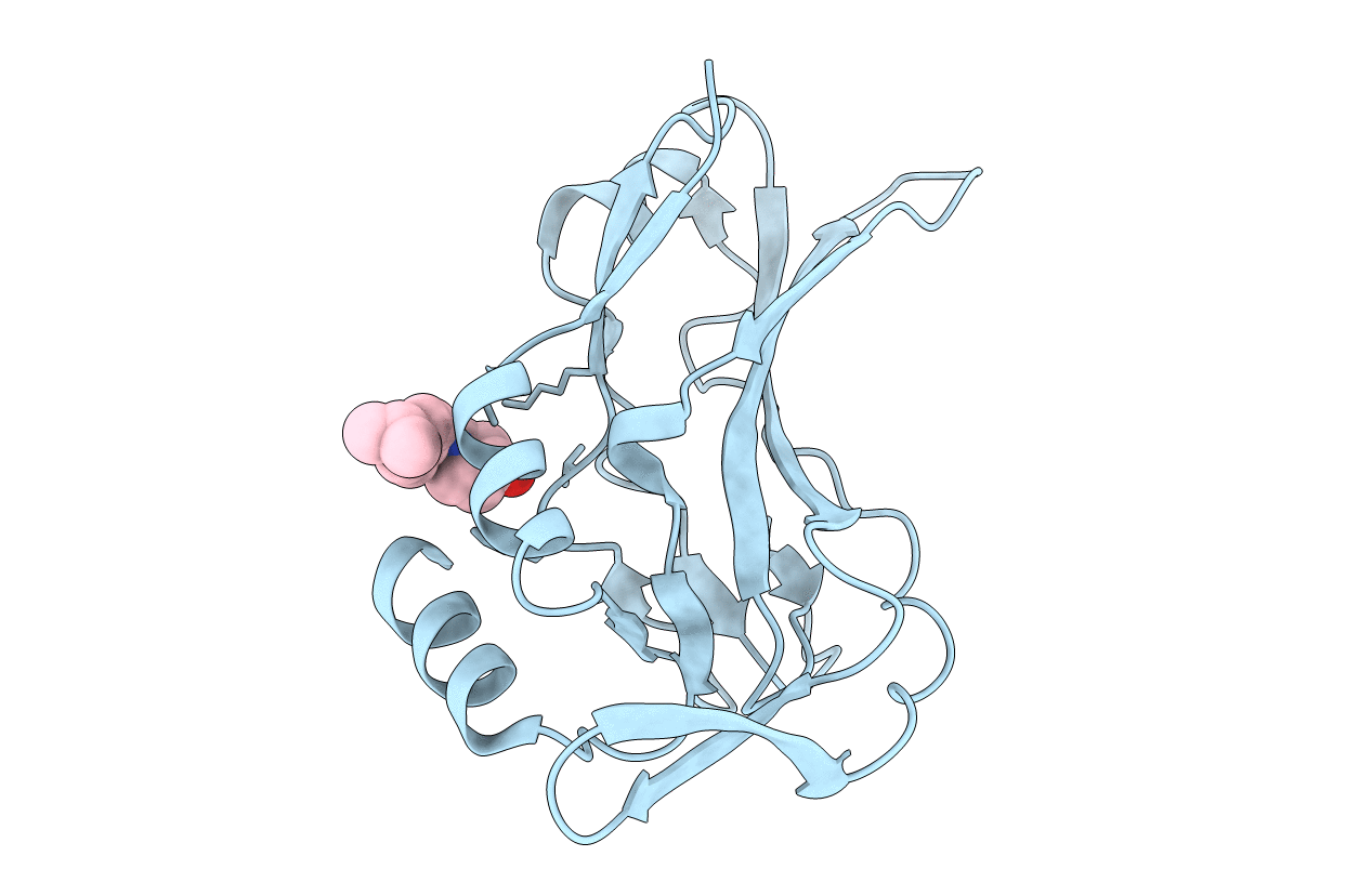 5QSB image