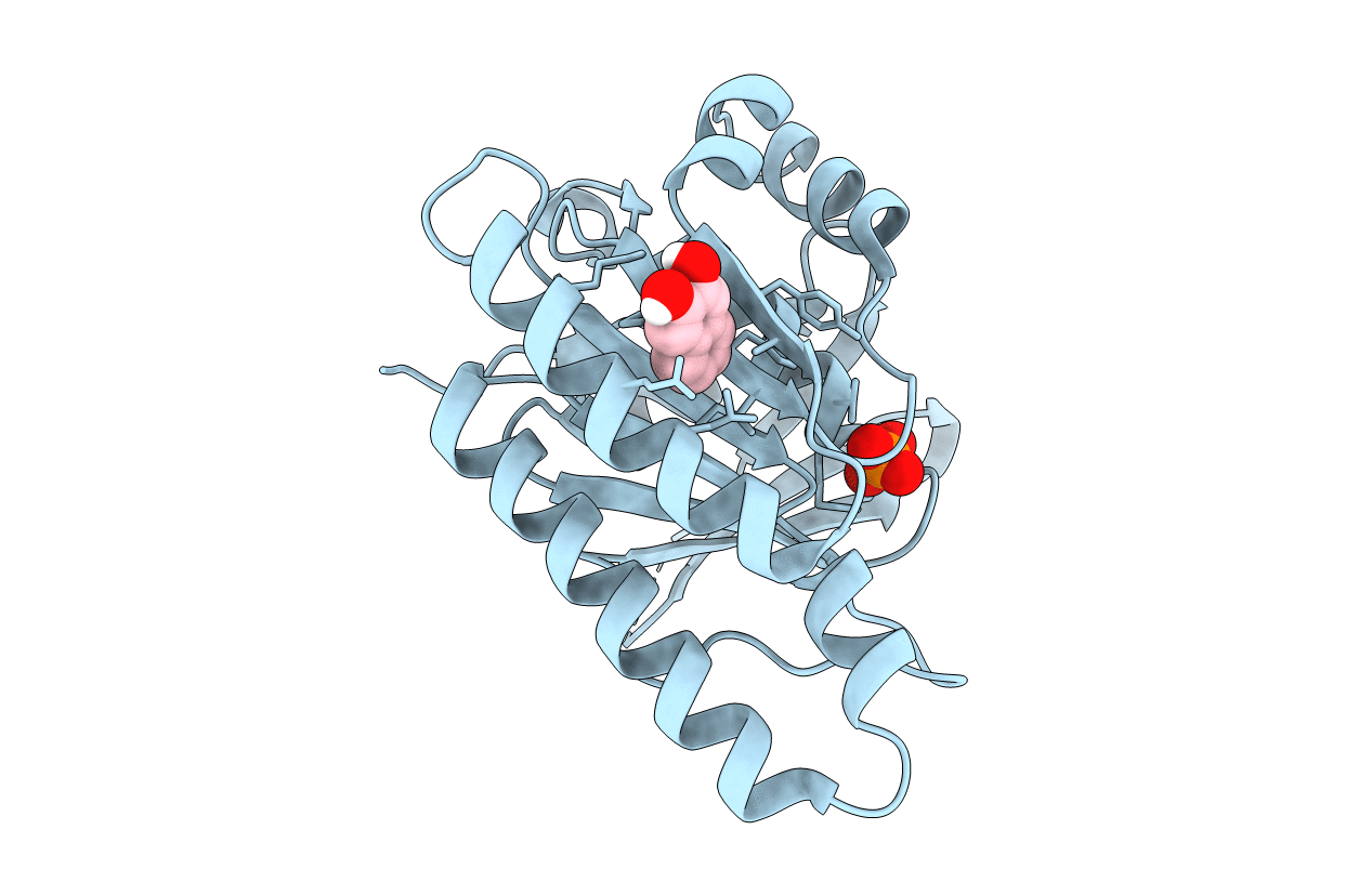 5QUB image
