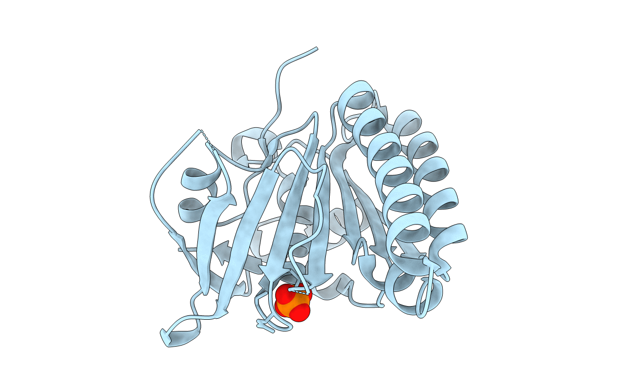 5QUN image