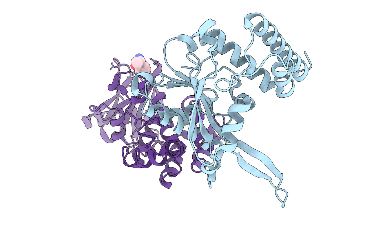 5R09 image