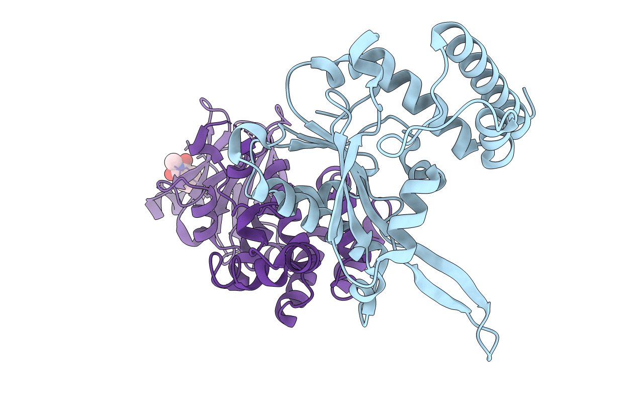 5R0C image