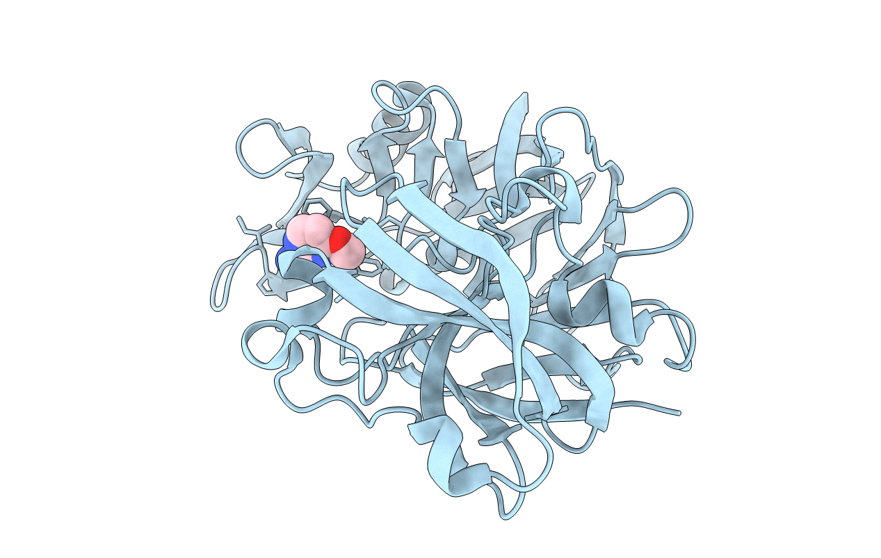 5R1V image