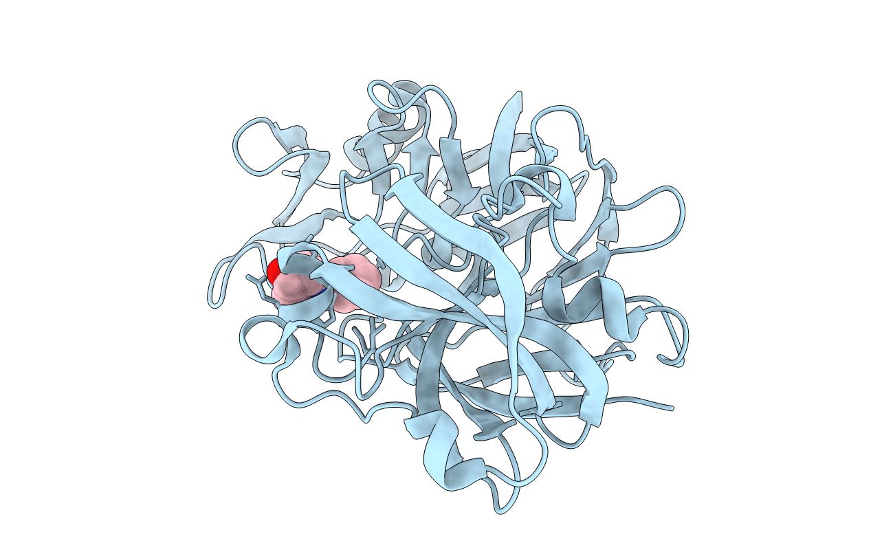 5R20 image