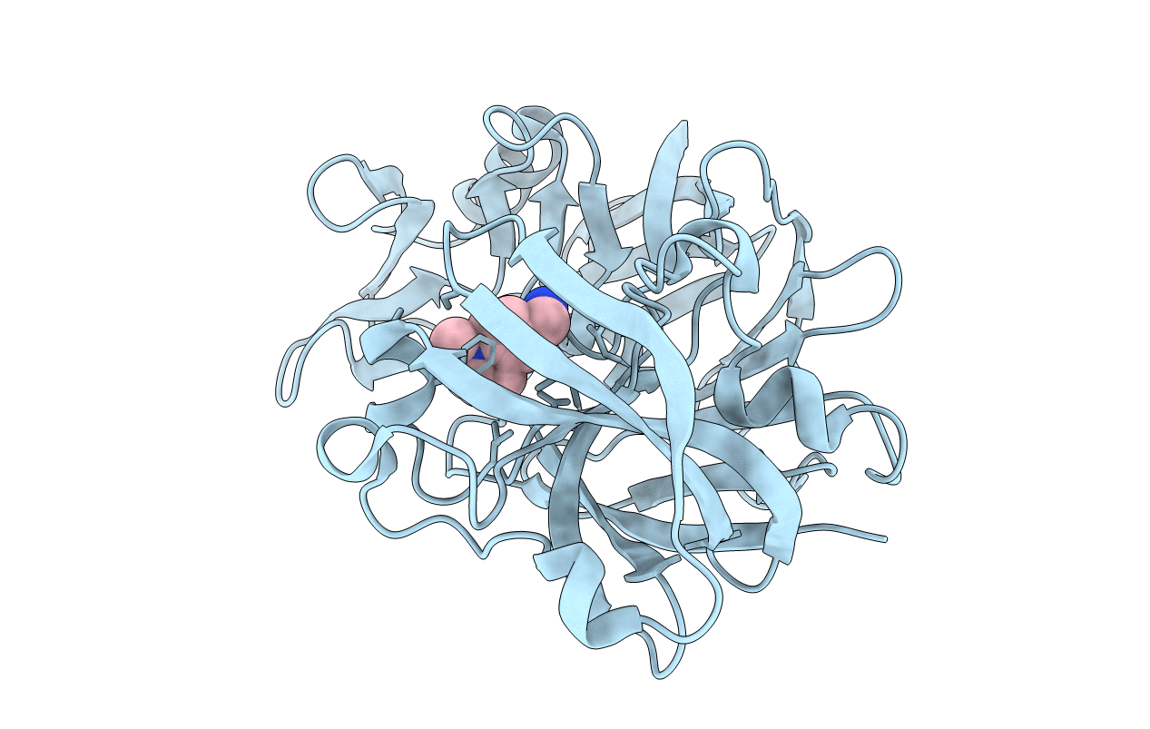 5R21 image