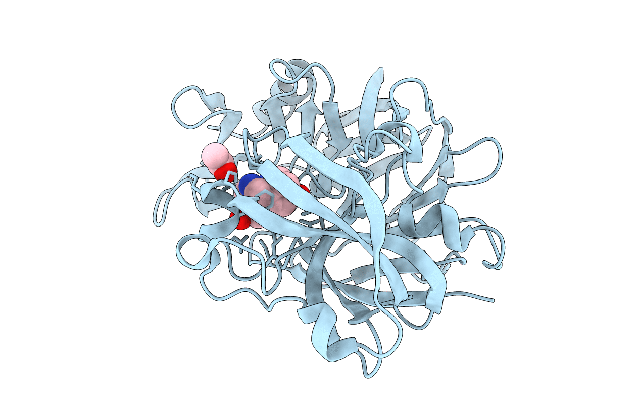 5R25 image