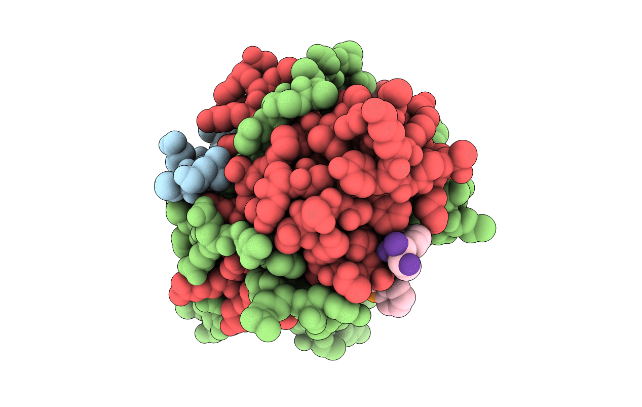 5R4C image