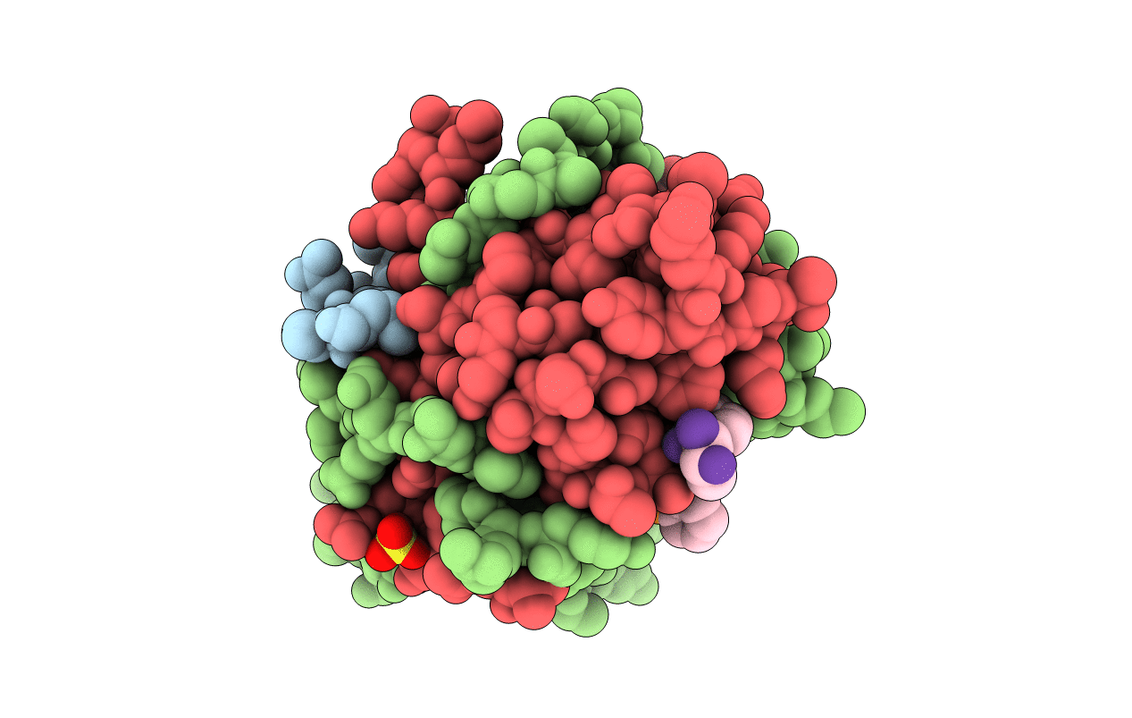 5R4D image