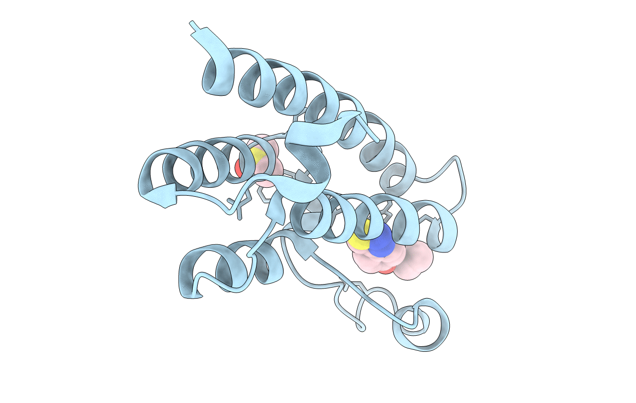 5R4G image