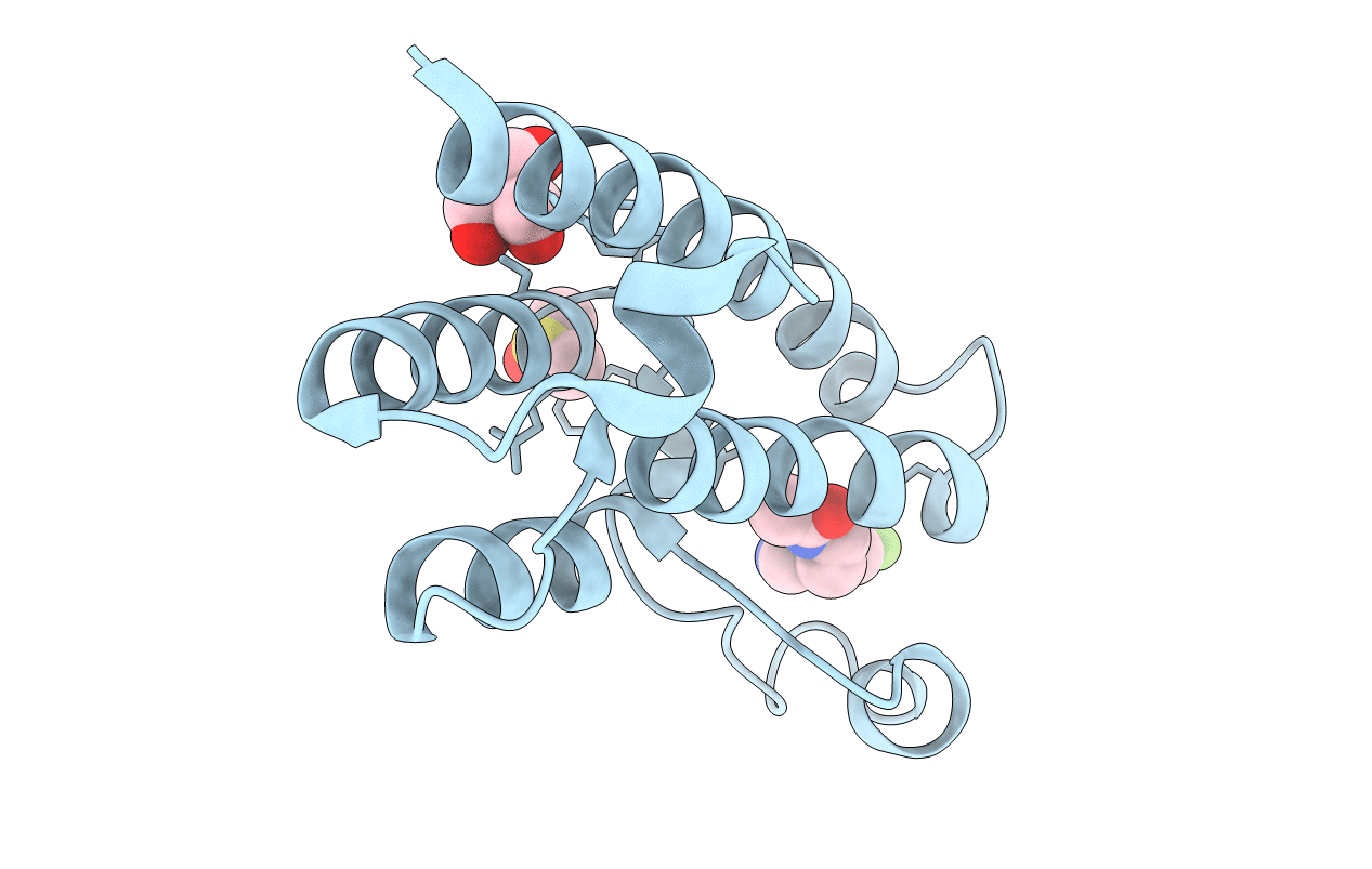 5R4H image