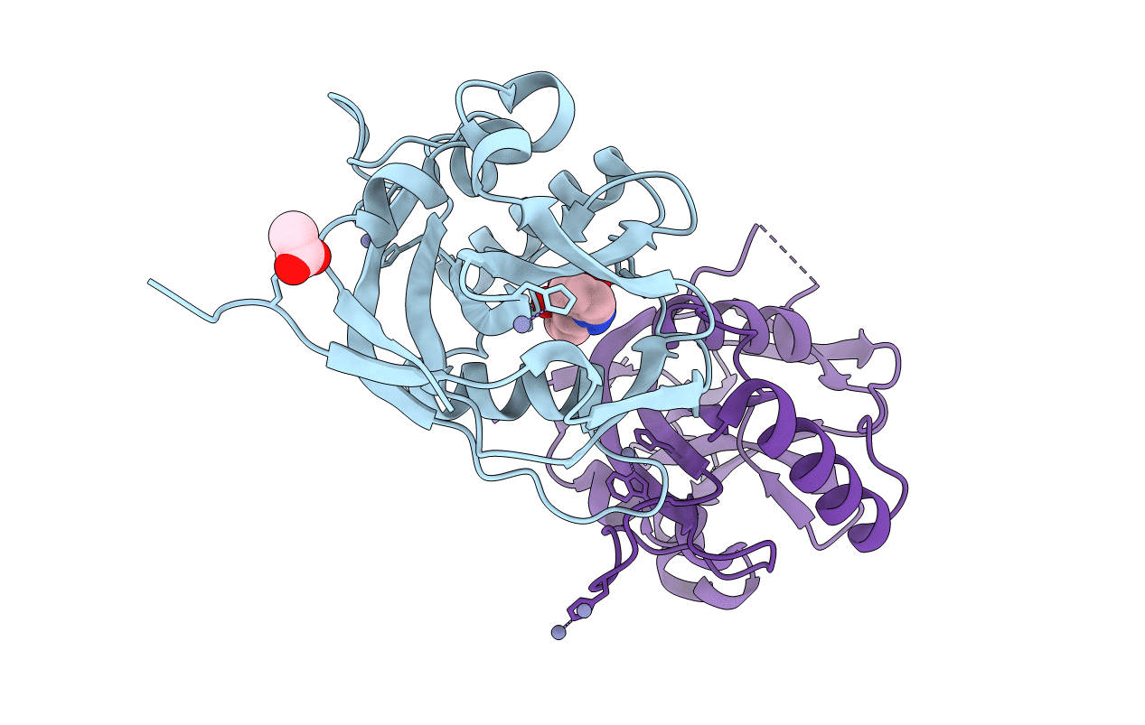 5R4P image