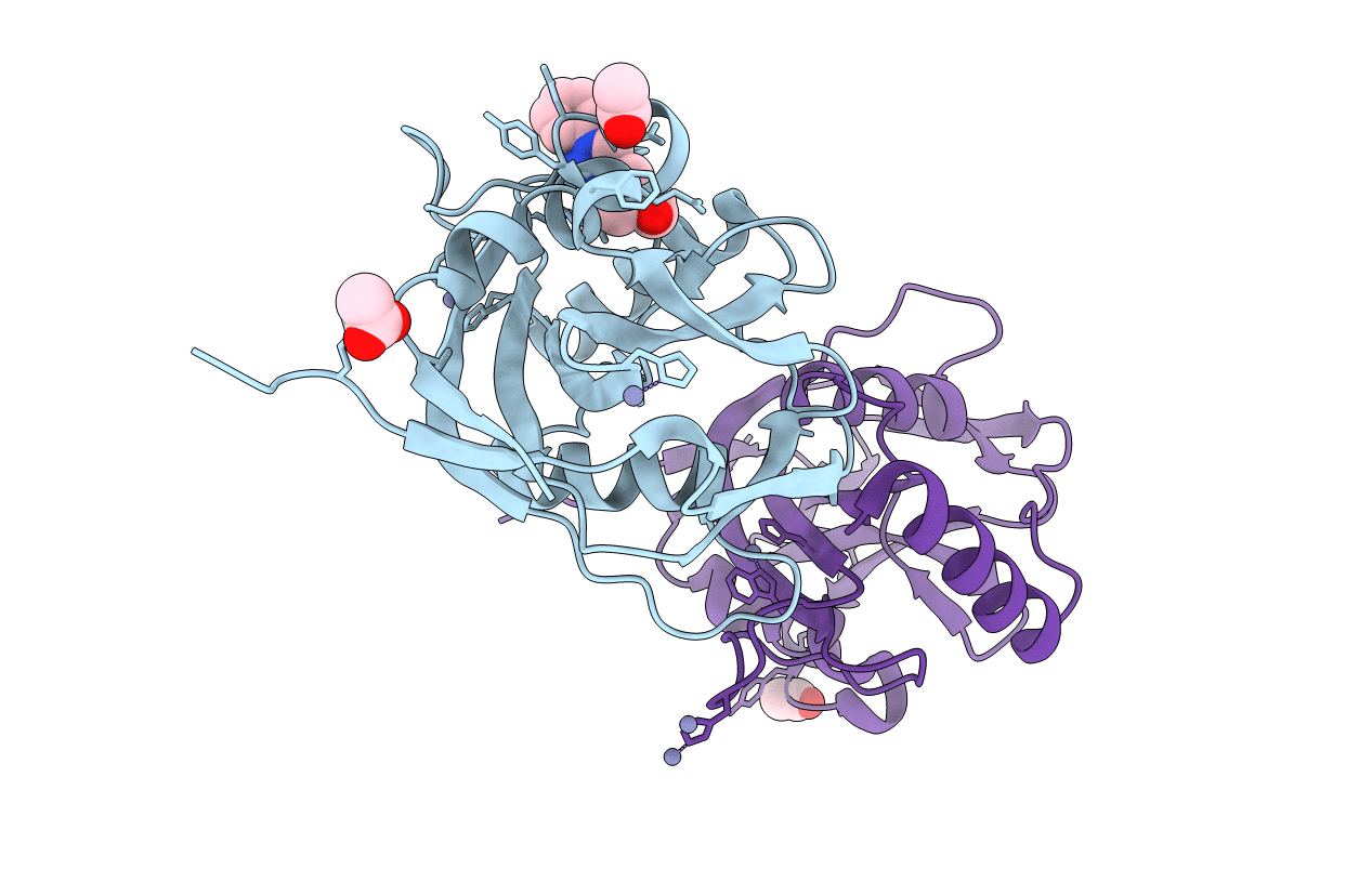 5R4S image