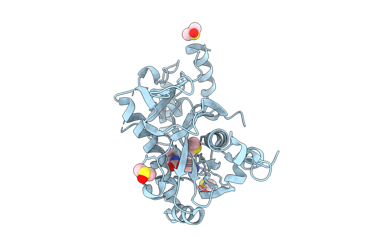 5R51 image