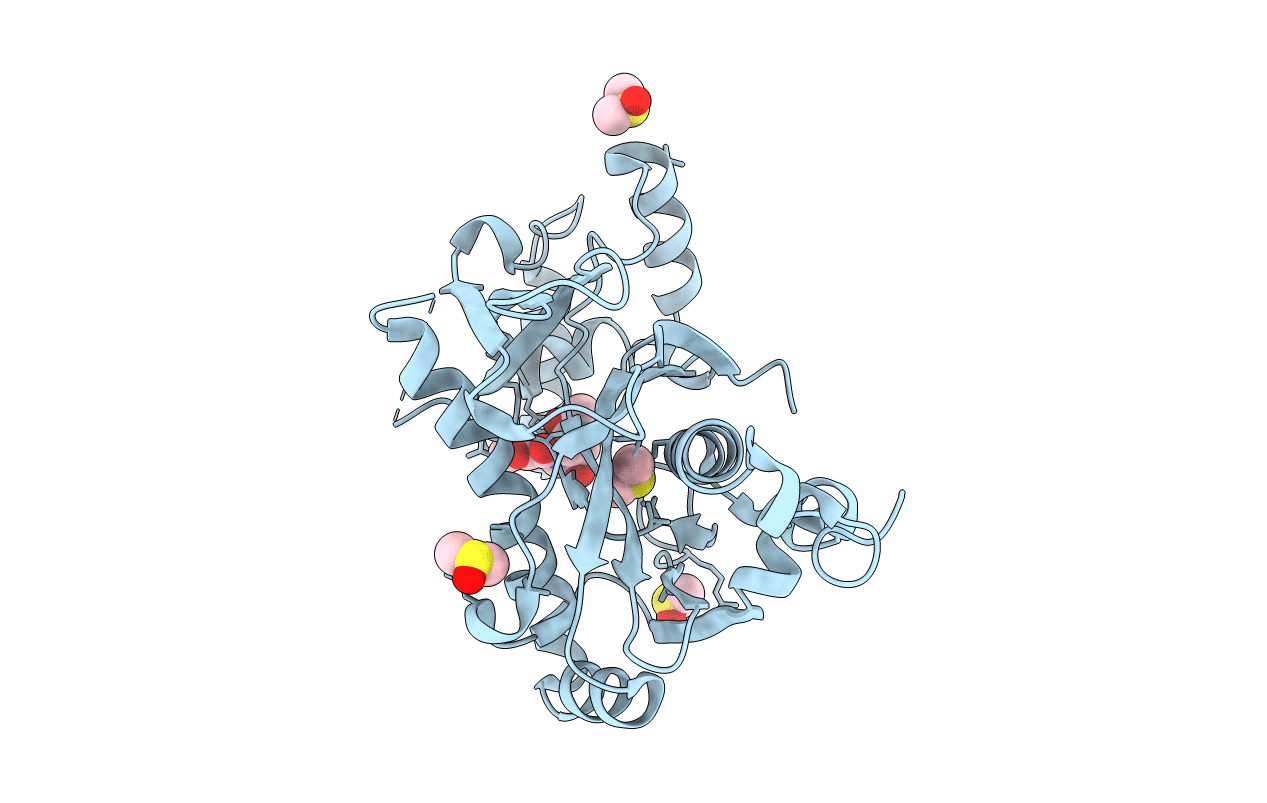 5R52 image