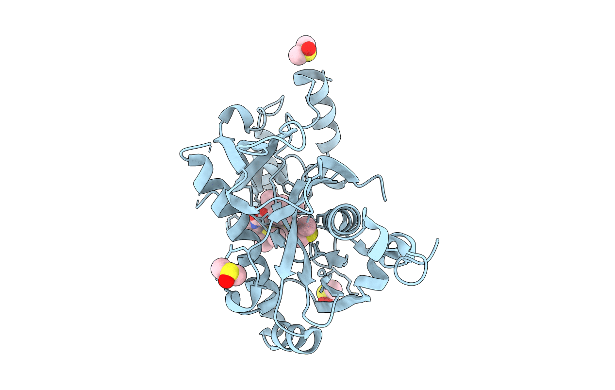 5R56 image