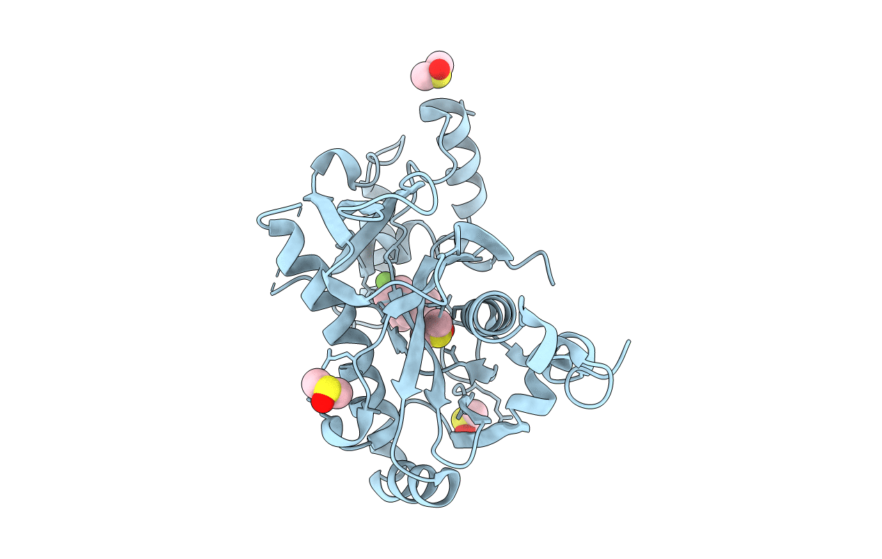 5R5C image